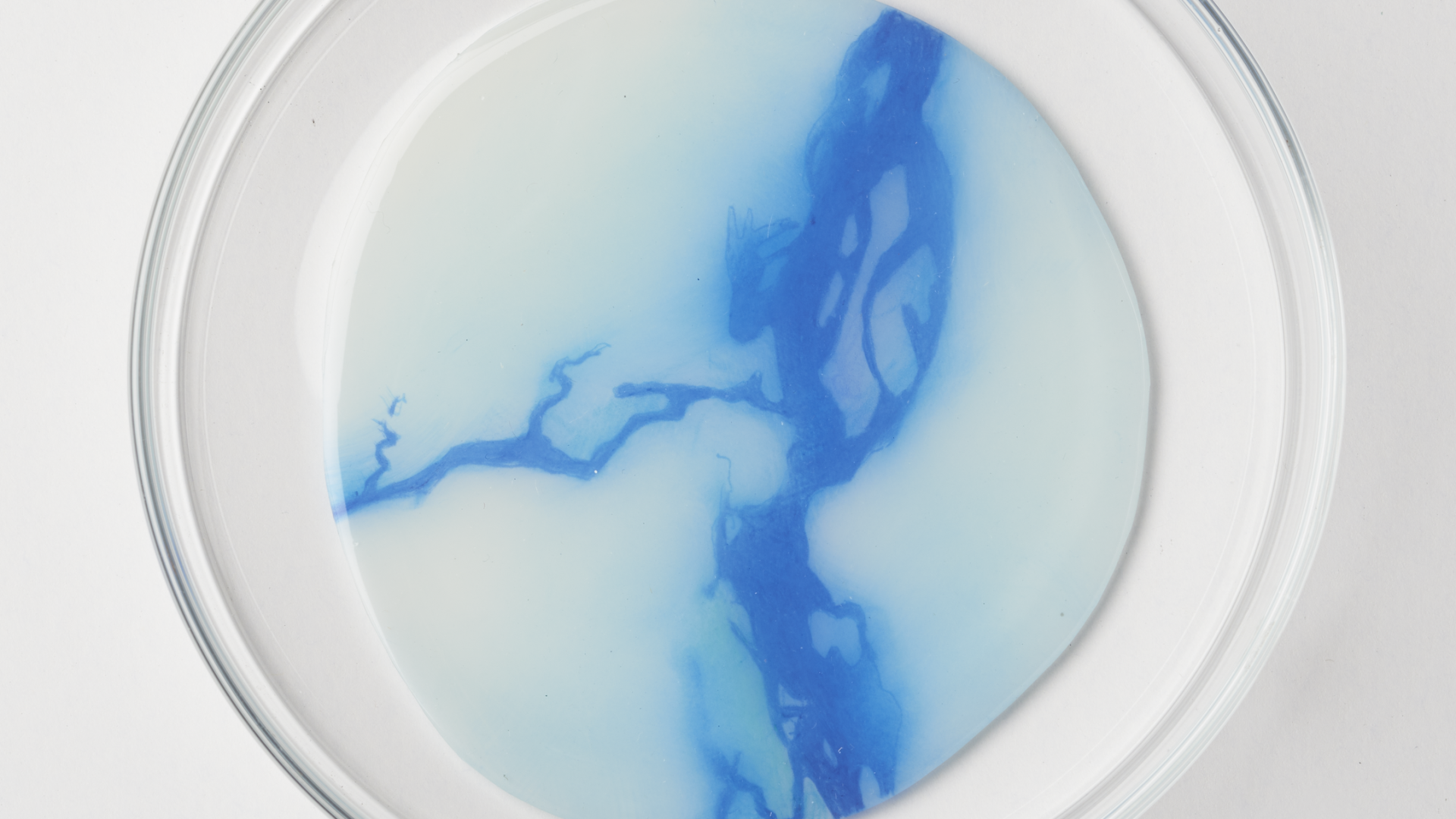 The River Remembers